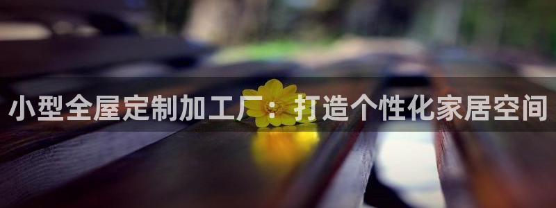 bb电子哪个平台好用一点