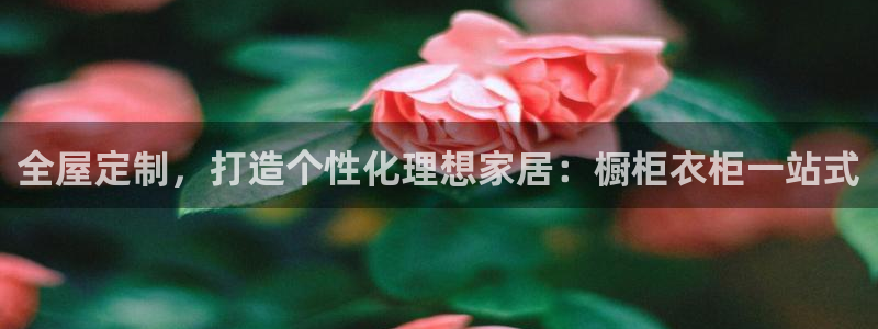 bb电子哪个平台好些