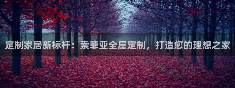 bb电子怎么英语怎么说