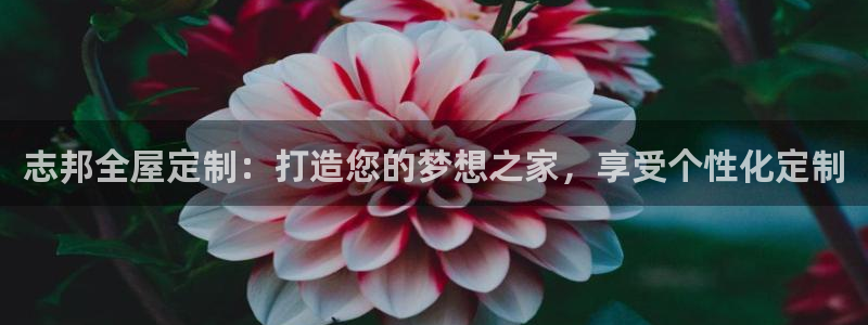 BB电子连环夺宝