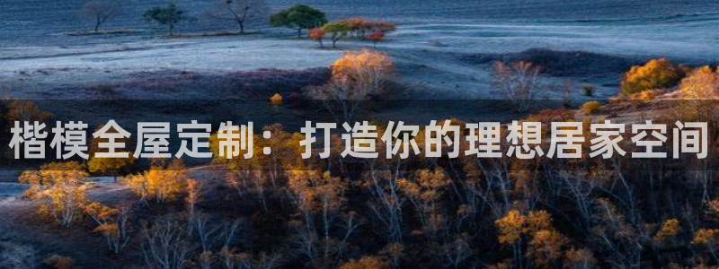 bb电子最简单设置方法