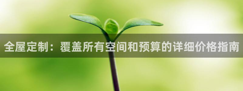 bb电子哪个平台好一点