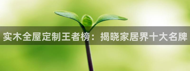 bb电子哪个平台好些