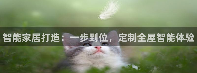 bb电子掉彩金