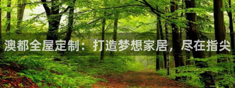 bb电子怎么英语怎么说