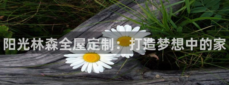 bb电子官网