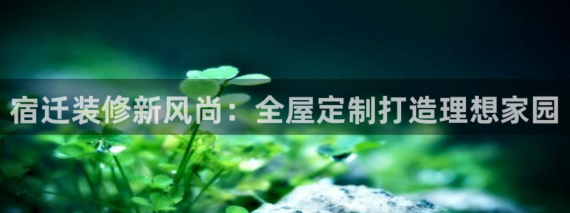bb电子哪个平台好一点