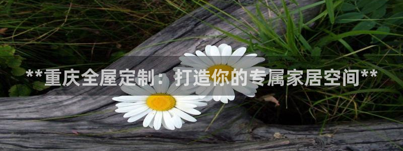 BB电子锁怎么接电