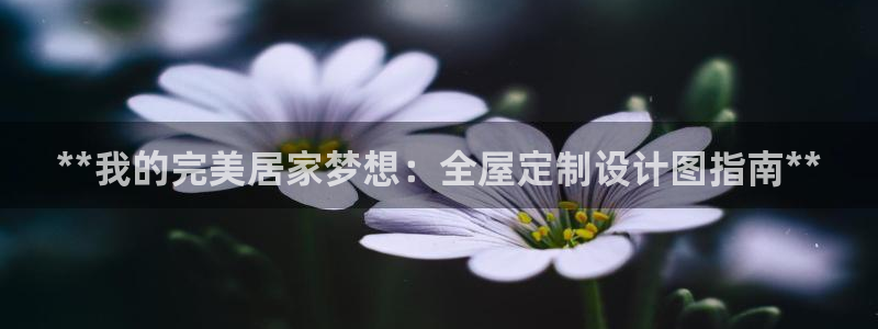 bb电子哪个平台好