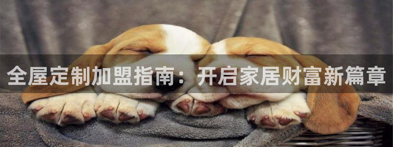 网上bb电子为什么那么假
