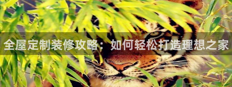 BB电子连环夺宝