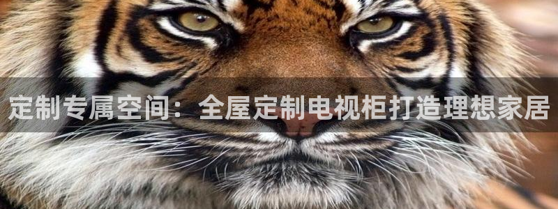 bb电子哪个平台好啊