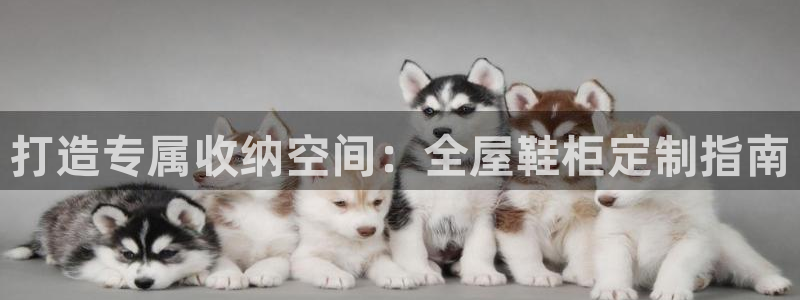 bb电子怎么英语怎么说