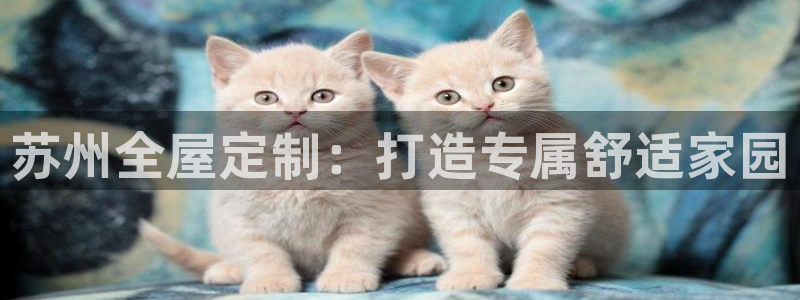 bb电子哪个平台好