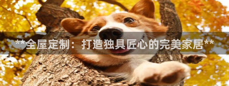 bb电子教育平台