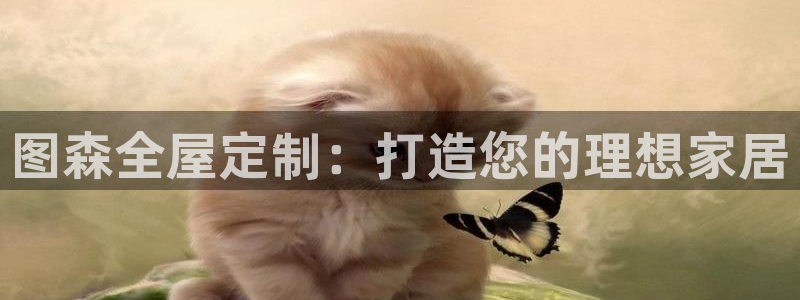 bb电子