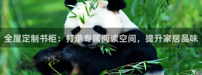 BB电子开户