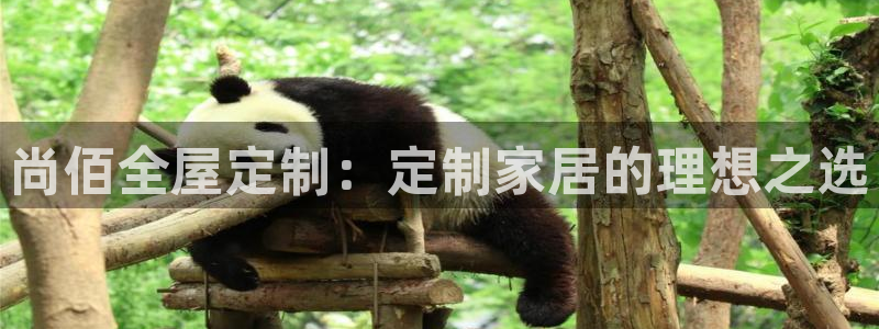 bb电子教育平台