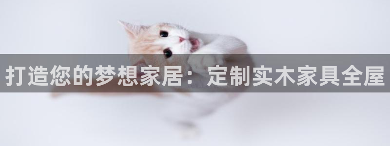 bb电子哪个平台好用点