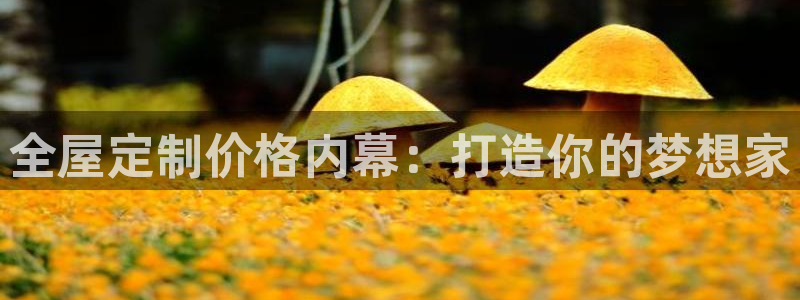 BB电子锁怎么接电