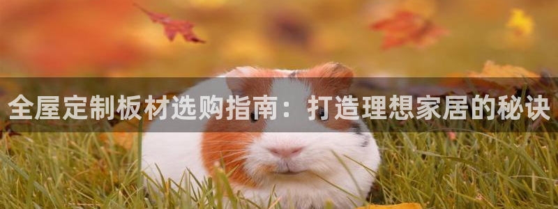 bb电子糖果哪个网站好mg官方电子平台