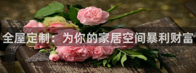 bb电子哪个平台好啊