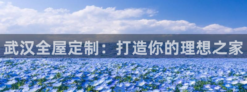 bb电子哪个平台好点