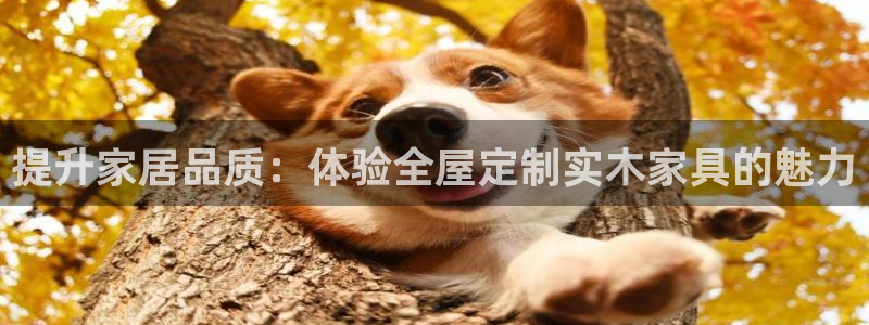 bb电子怎么英语怎么说