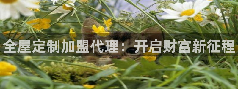 bb电子为什么总赢不了
