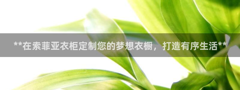 bb电子哪个平台好用