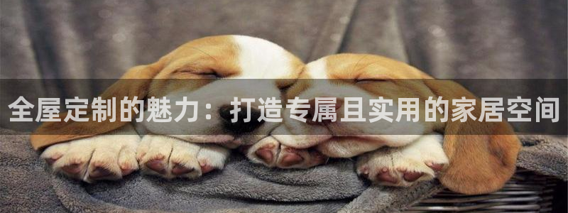 bb电子哪个平台好些