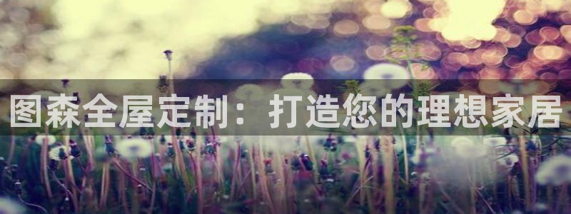 bb电子哪个平台好用一点