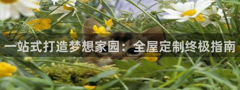 bb电子糖果玩法技巧