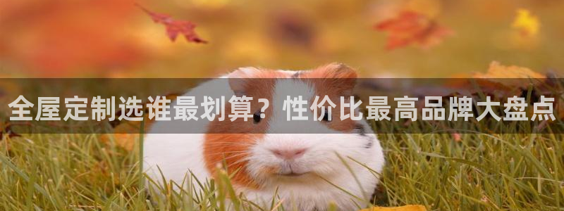 BB电子锁怎么接电