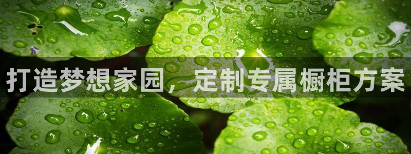 bb电子教育平台