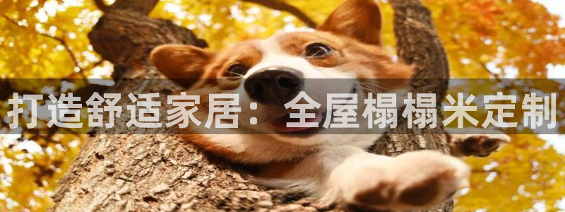 bb电子糖果哪个网站好mg官方电子平台
