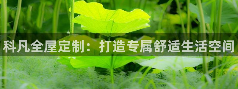 bb电子哪个游戏好赢钱