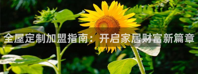 BB电子锁怎么接电