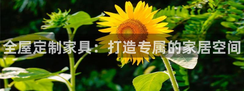 bb电子哪个平台好点