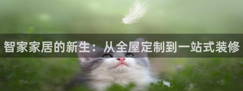 bb电子中了Major怎么算