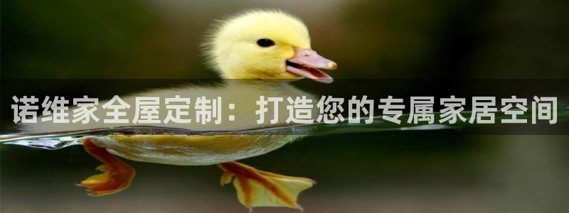 bb电子掉彩金
