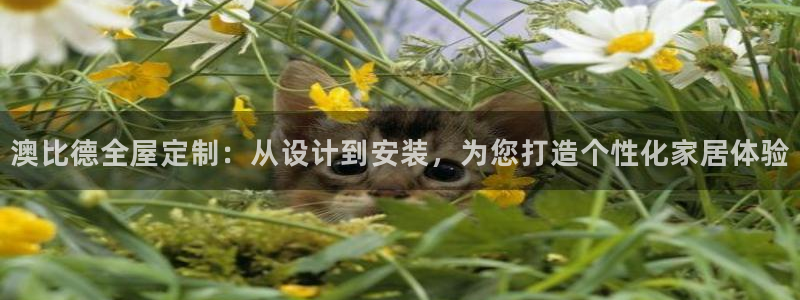 xbb电子游艺