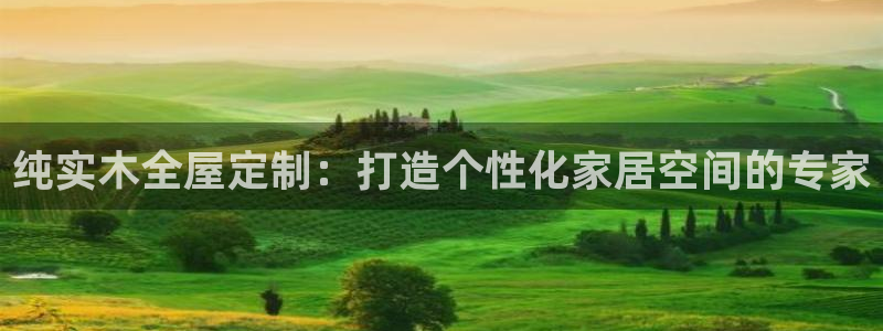 BB电子烟官网