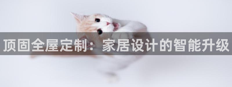 bb电子游戏作弊