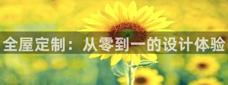 bb电子教育平台