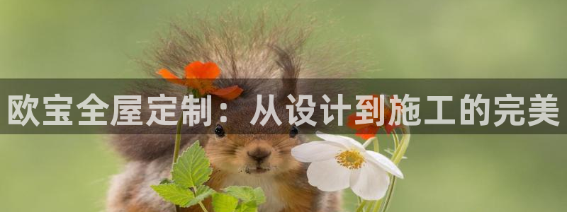 bb电子为什么总赢不了